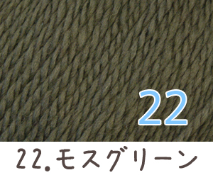 毛糸 秋冬 あみもねっと ウルグアイウール並太 |  | 22