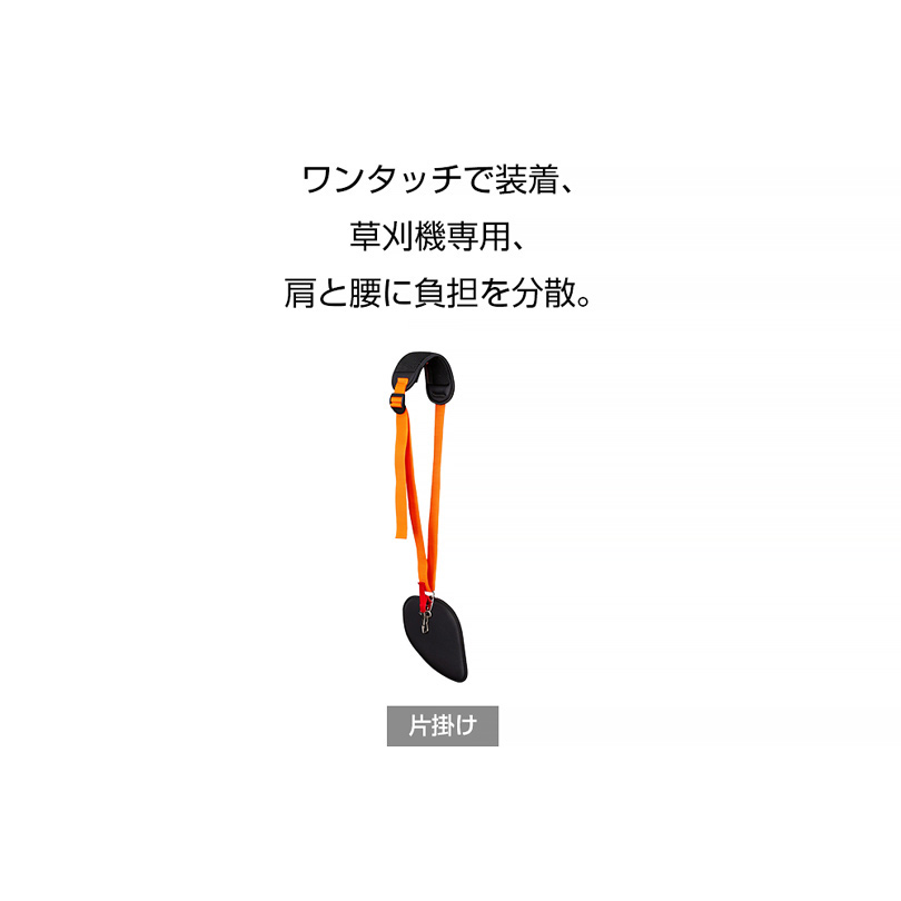 ベルト