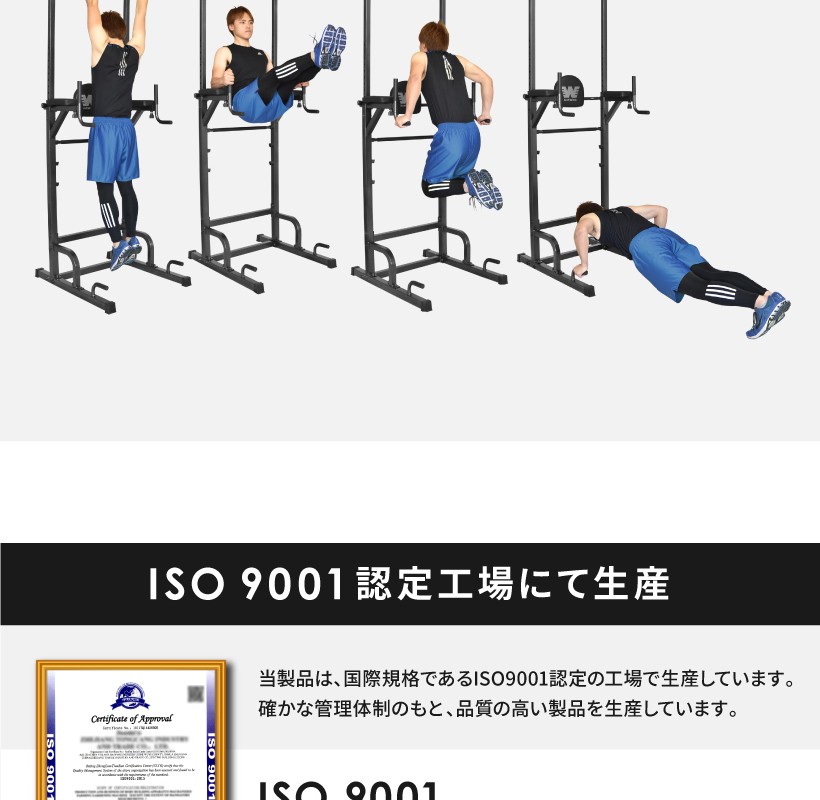 ぶら下がり健康器 BARWING モデル 高さ調整11段階 3Dパット搭載 4WAY