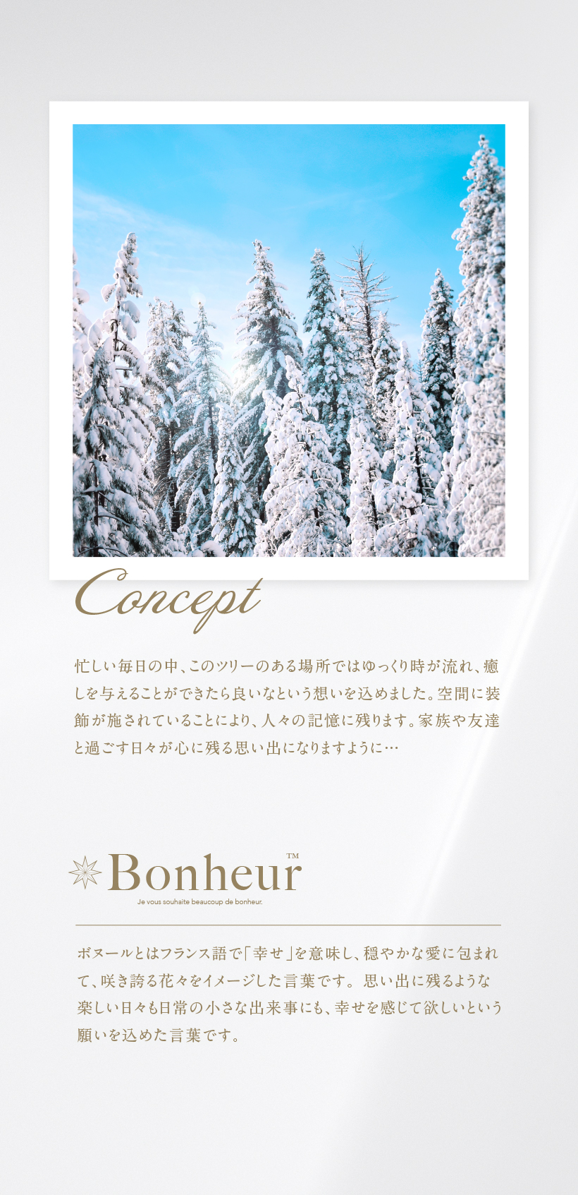 YouTen ☆期間限定価格 12/16まで☆ ボヌールツリー クリスマスツリー