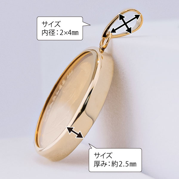 純金1/20オンス Dolphin イルカ 親子 コイン 金貨 ペンダントトップ
