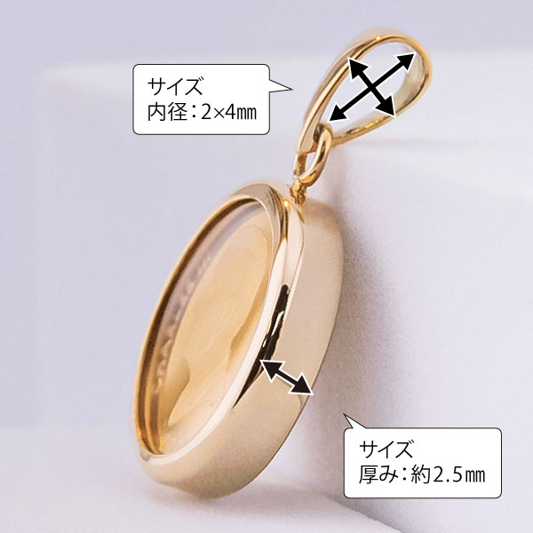 純金 1/30オンス Dolphin イルカ 親子 コイン 金貨 ペンダント
