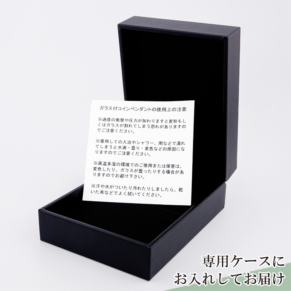 24金 18金 純金 1/30オンス Snake 干支 巳 へび 蛇 コイン 金貨