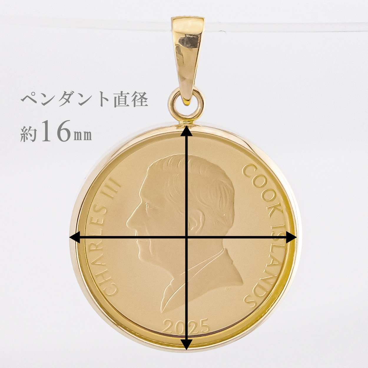 24金 18金 純金1/20オンス Snake 干支 巳 へび コイン 金貨 両面保護