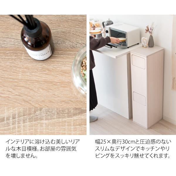 ゴミ箱 おしゃれ スリム プッシュ式 ダストボックス 角型 幅25cm 高さ