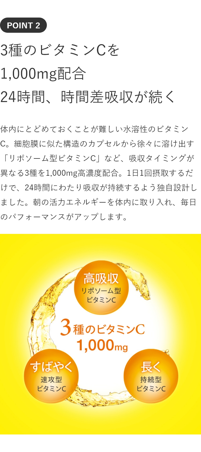 アンプルール 【ビタミンC＋】 AMPLEUR VITAMIN C＋サプリ /高濃度ビタミンC /GABA /栄養補助 /顆粒 /レモンライム /水なしOK /約1ヶ月分 /ノンカフェイン /人工甘味料着色料不使用 /水なしOK /約1ヶ月分 /送料無料/ 体内リズム/ サプリメント /インナーケア /スキンケア