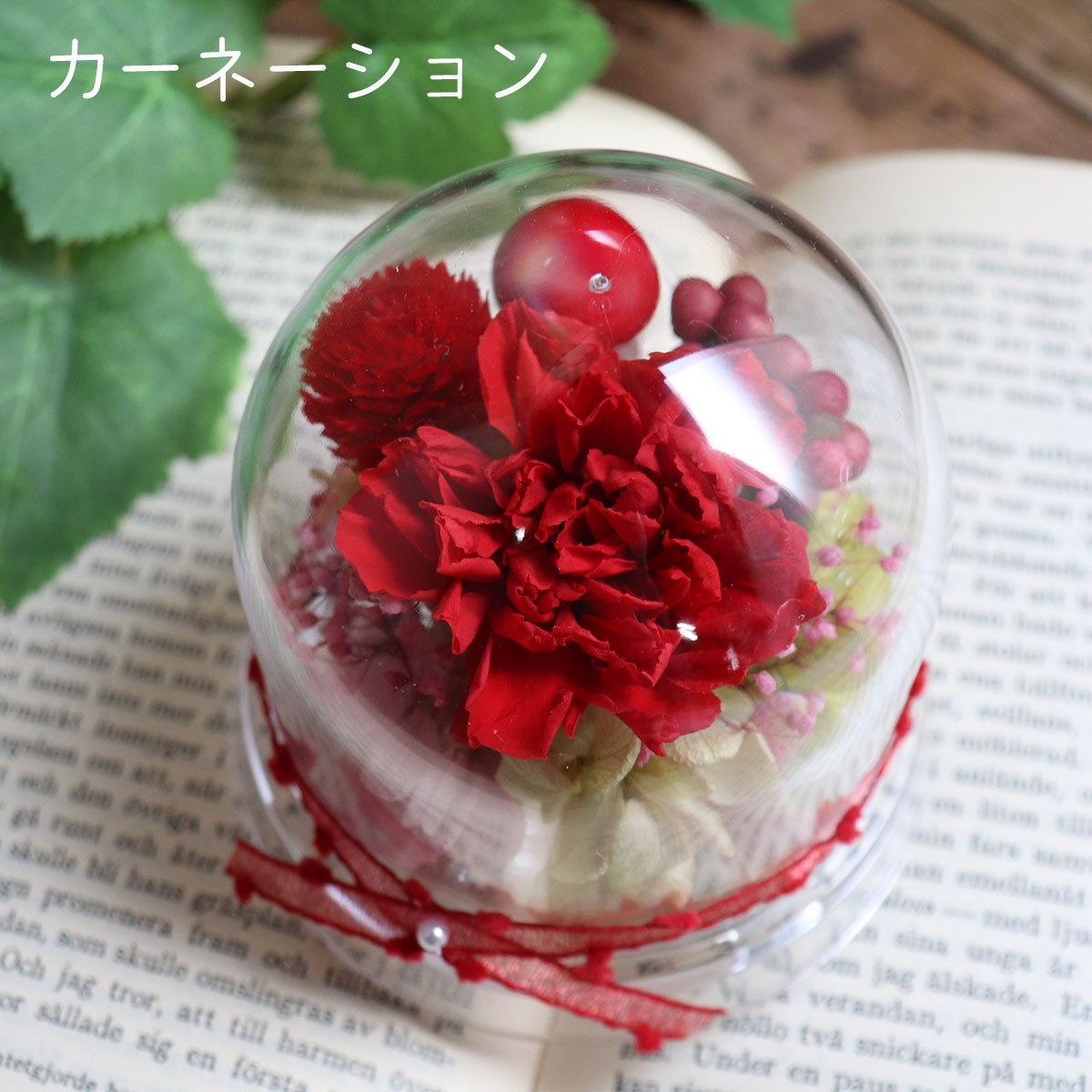 赤いカーネーション　母の日限定