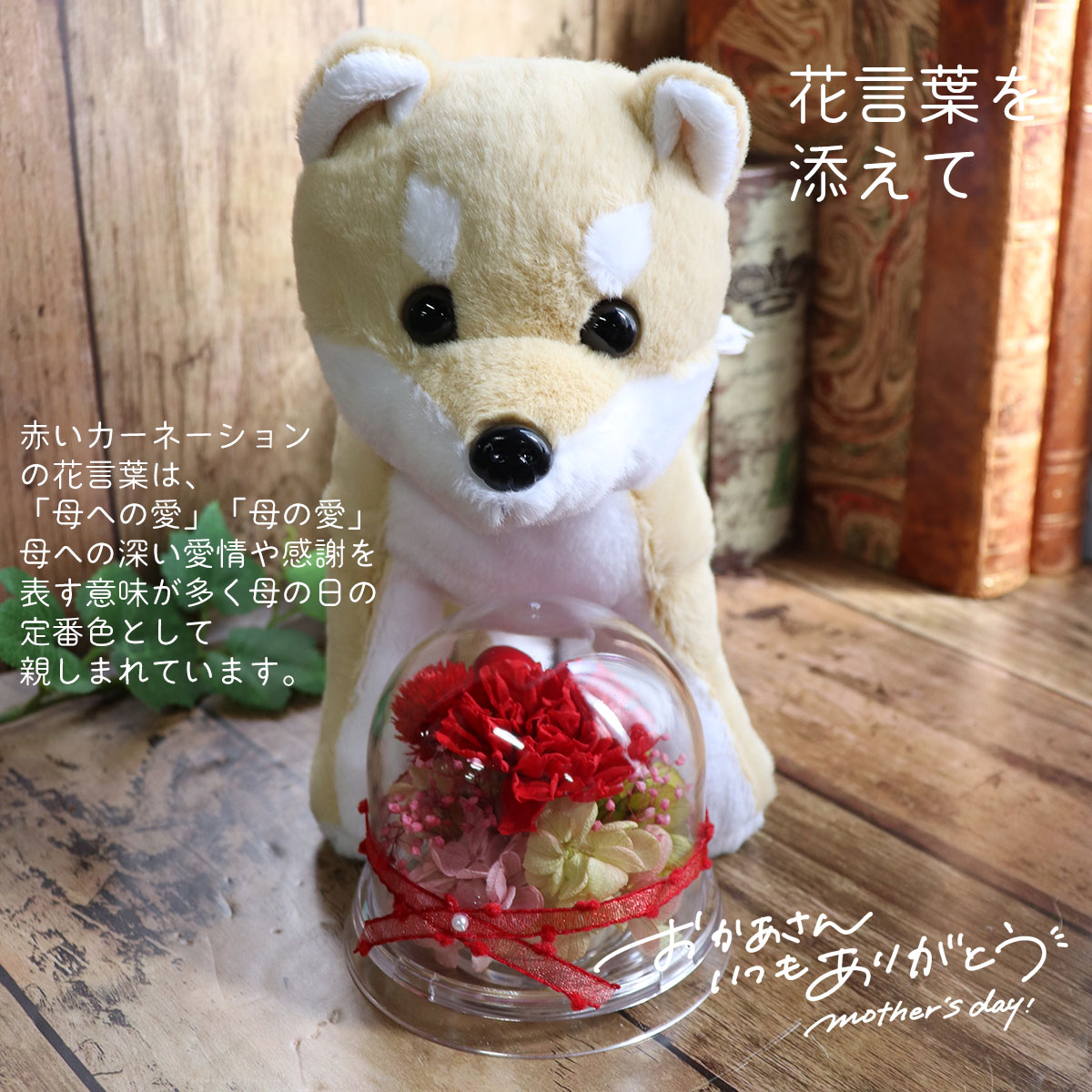母の日 犬 ギフト プレゼント 2026