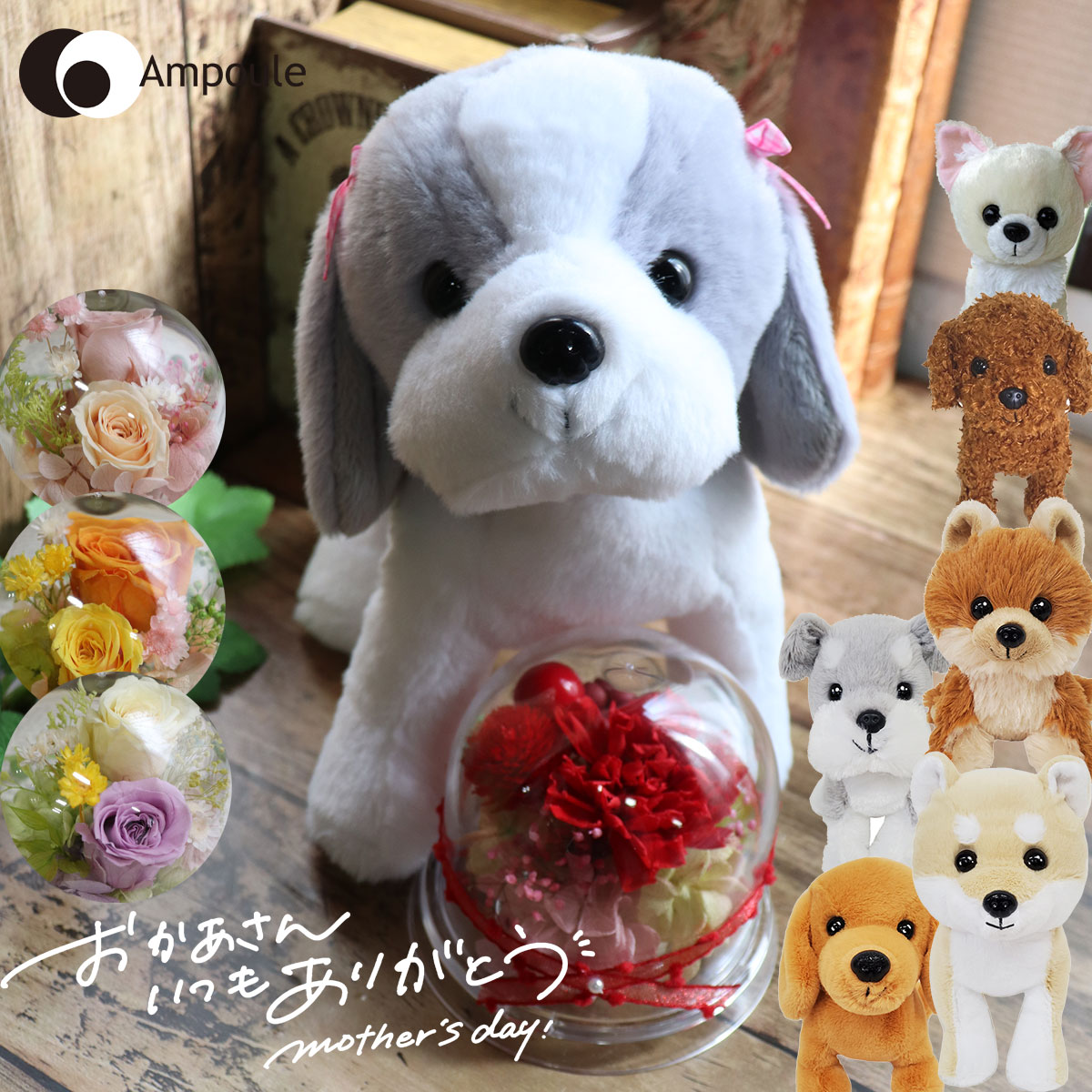 母の日 犬 ギフト プレゼント 2026