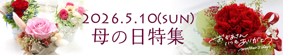母の日特集