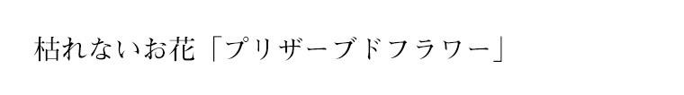 女性の誕生日プレゼント ホワイトデー・母の日ギフトにプリザーブドフラワーアレンジ