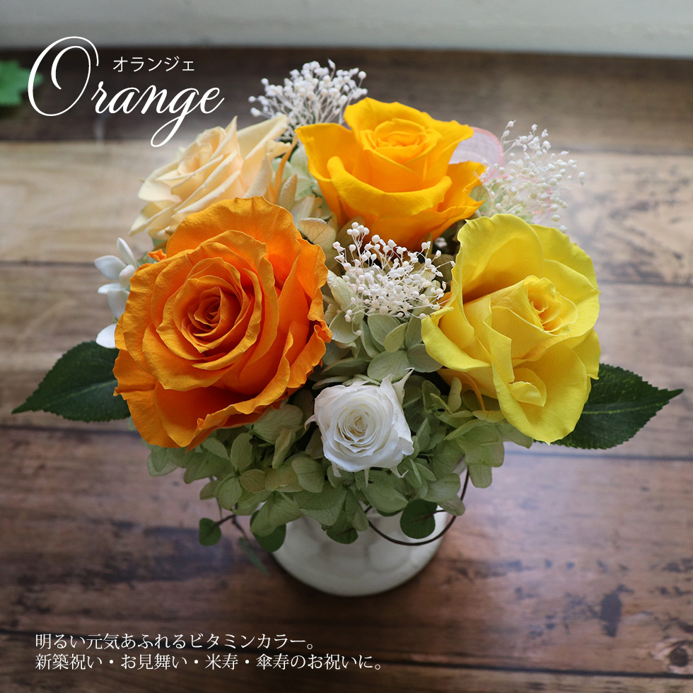 誕生日 結婚式 電報 祝電 新築祝い 送別会 プレゼント 女性 男性 送別 退職祝い プレゼント 60代 定年 定年退職 マダムローズミリュー P 花ギフト 贈り物 アンプール 通販 Yahoo ショッピング