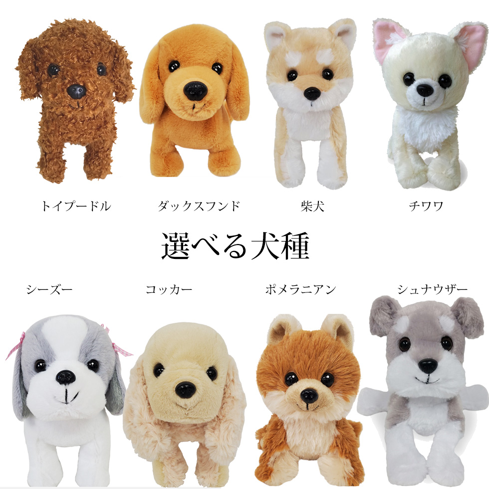 誕生日 結婚記念日 犬　ぬいぐるみ　プリザーブドフラワー　結婚式 電報 結婚祝い