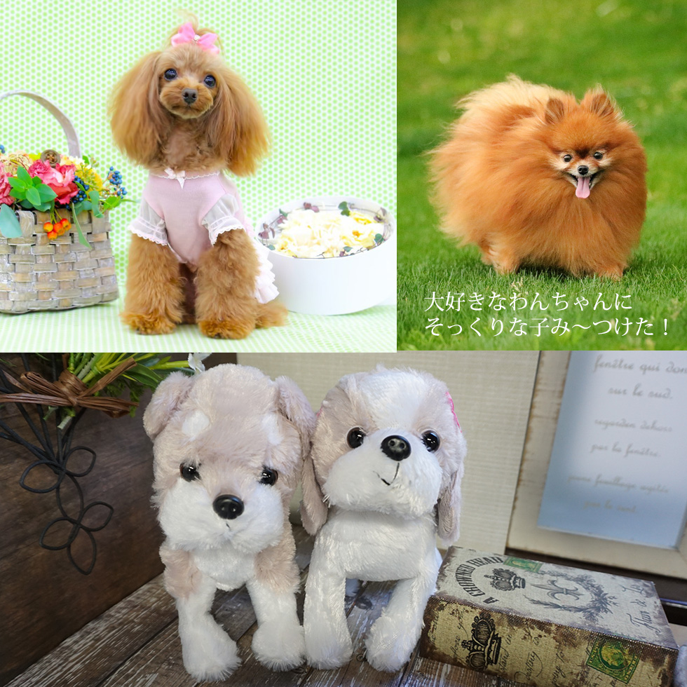 誕生日 結婚記念日 犬　ぬいぐるみ　プリザーブドフラワー　結婚式 電報 結婚祝い