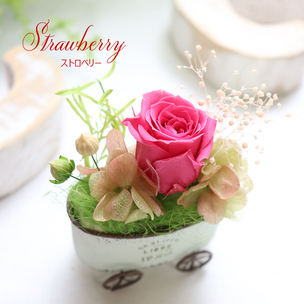 はりねずみ ぬいぐるみ 花 セット かわいい プリザーブドフラワー 誕生日 プレゼント ギフト 癒しグッズ プレゼント ハリネズミ グッズ ハリーのおさんぽ P 花ギフト 贈り物 アンプール 通販 Yahoo ショッピング