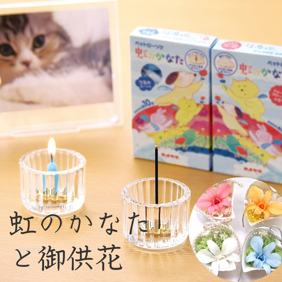 1155円 当店限定販売 ペット お悔やみ お供え 花 犬 猫 虹の橋 お線香 線香 ろうそく プリザーブドフラワー 供養 初盆 ブリザーブドフラワー 虹のかなたとフラワーセット 1155円 当店限定販売 ペット お悔やみ お供え 花 犬 猫 虹の橋 お線香 線香 ろうそく プリザーブドフラワー 供養 初盆 ブリザーブドフラワー 虹のかなたとフラワーセット