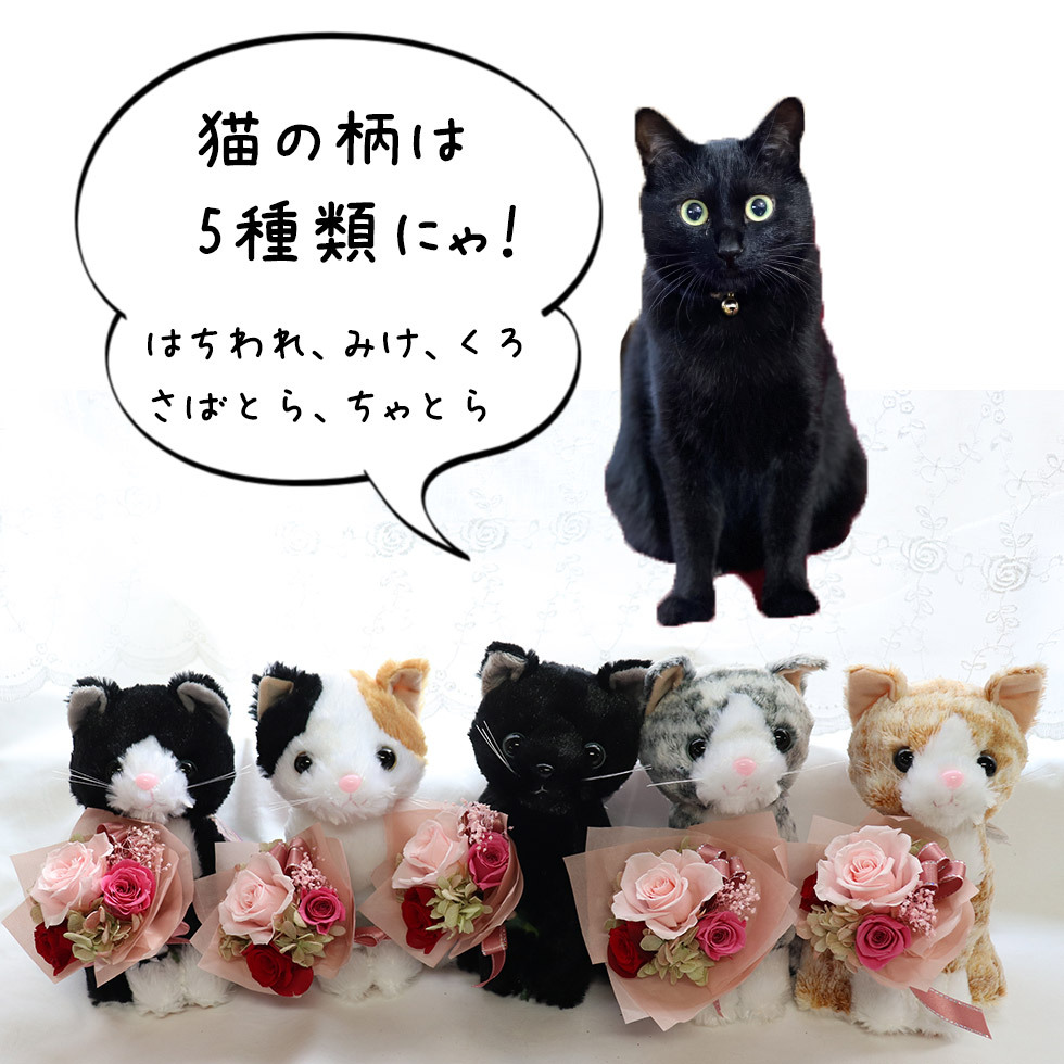 猫のぬいぐるみとプリザーブドフラワーの花束のセット