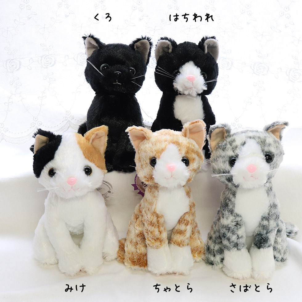 猫のぬいぐるみとプリザーブドフラワーの花束のセット