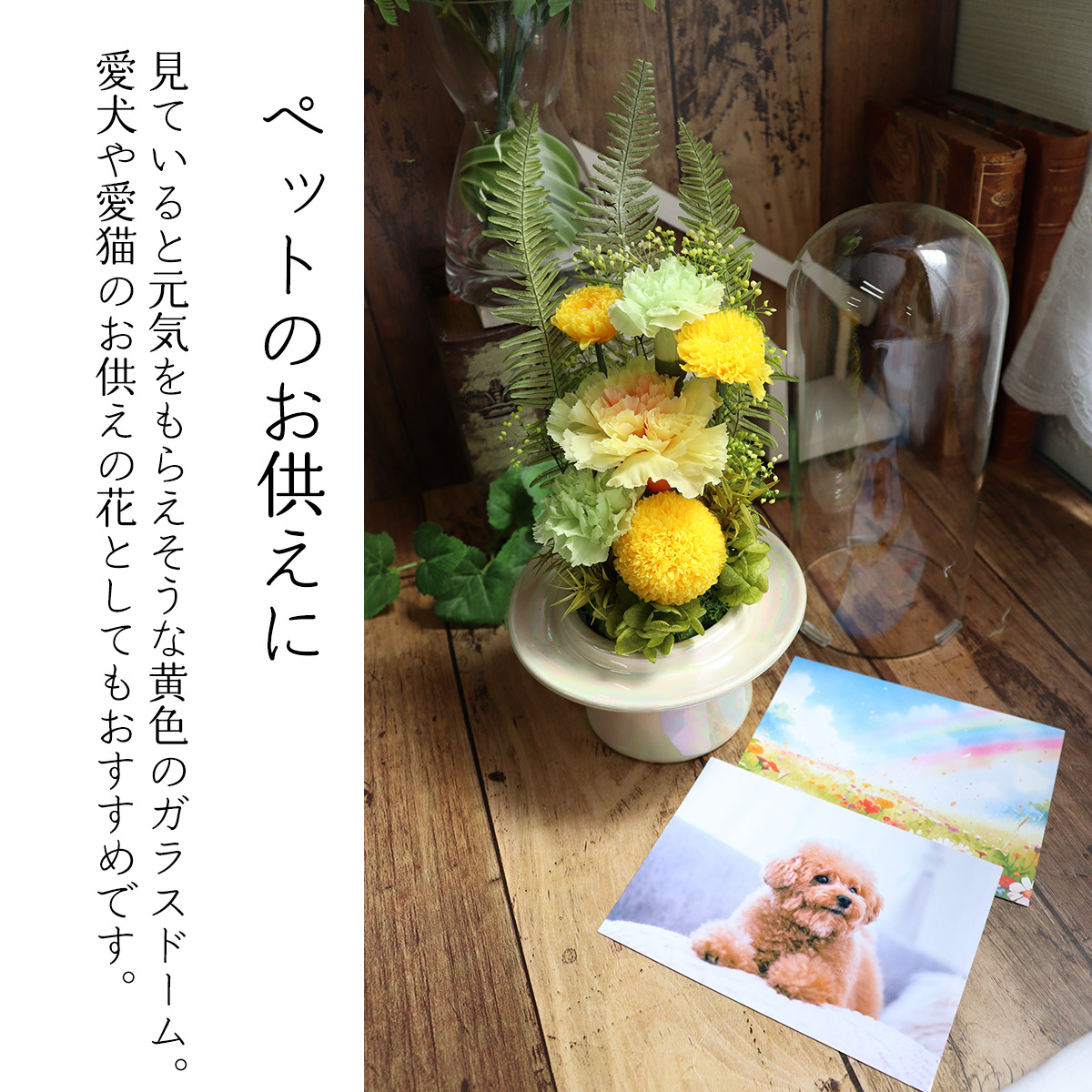 プリザーブドフラワー ガラスドーム 桃菊 一対