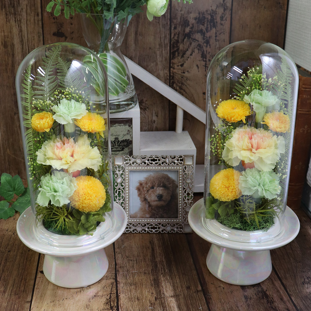 プリザーブドフラワー ガラスドーム 桃菊 一対
