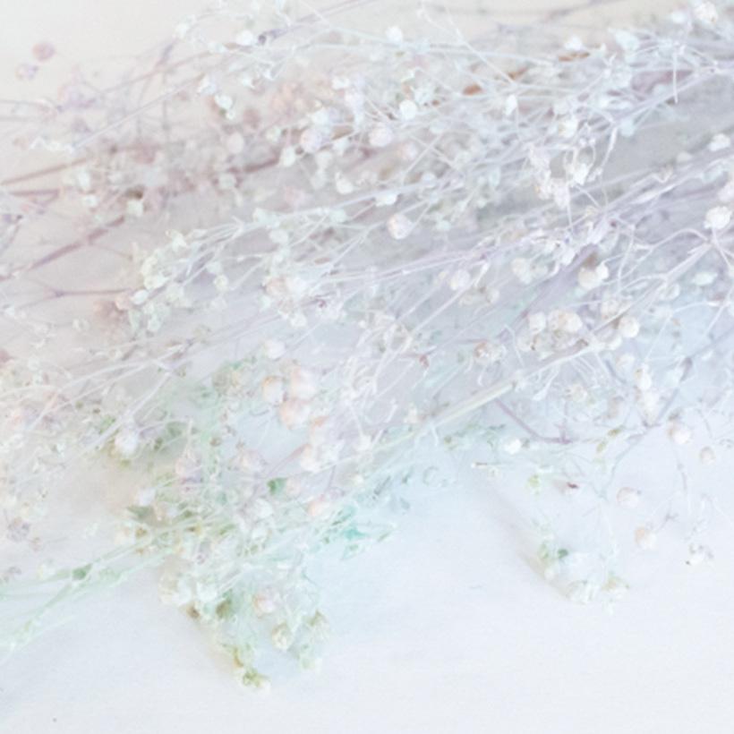 ドライフラワー スワッグ 花材 かすみ草 カスミソウ ガーランド ピンク 白 黄色 青 水色 緑 黄緑 紫 ホワイト ブルー インテリア おしゃれ 花 An An おしゃれ照明のampoule 通販 Yahoo ショッピング ドライフラワー スワッグ 花材 かすみ草 カスミソウ ガーランド ピンク 白 黄色 青 水色 緑 黄緑 紫 ホワイト ブルー インテリア おしゃれ 花 An An おしゃれ照明のampoule 通販 Yahoo ショッピング