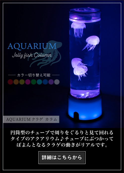 aquarium_column.jpg