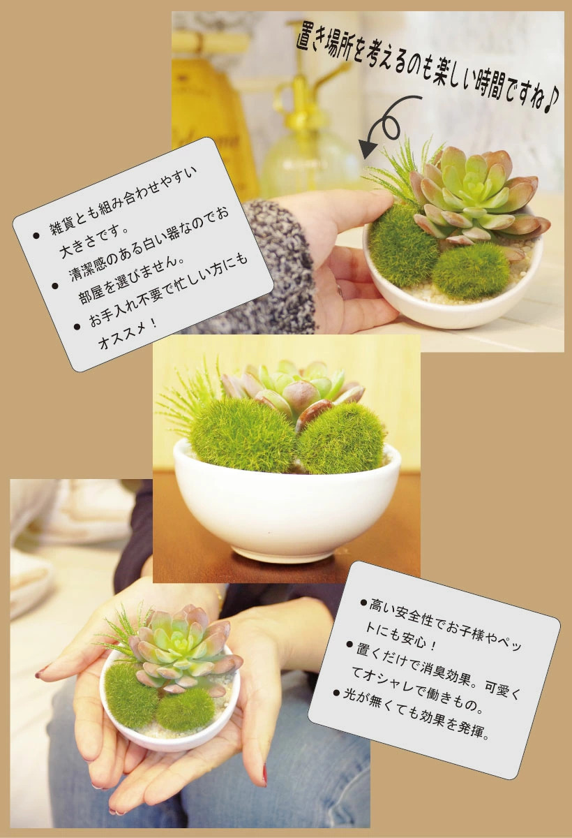キシマ（KISHIMA） フェイクグリーン おしゃれ 人工観葉植物 ミニ 苔