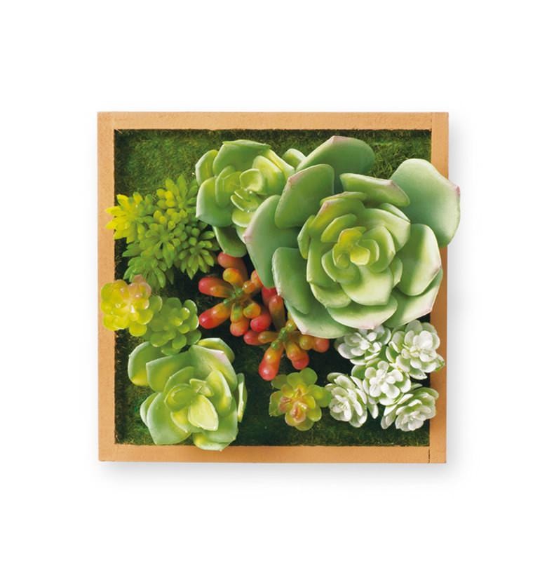 フェイクグリーン おしゃれ ウォールグリーン 多肉植物 サボテン リビング トイレ ナチュラル 造花 防汚 抗菌 Eclia エクリア 消臭アーティフィシャルグリーン Kh おしゃれ照明のampoule 通販 Yahoo ショッピング