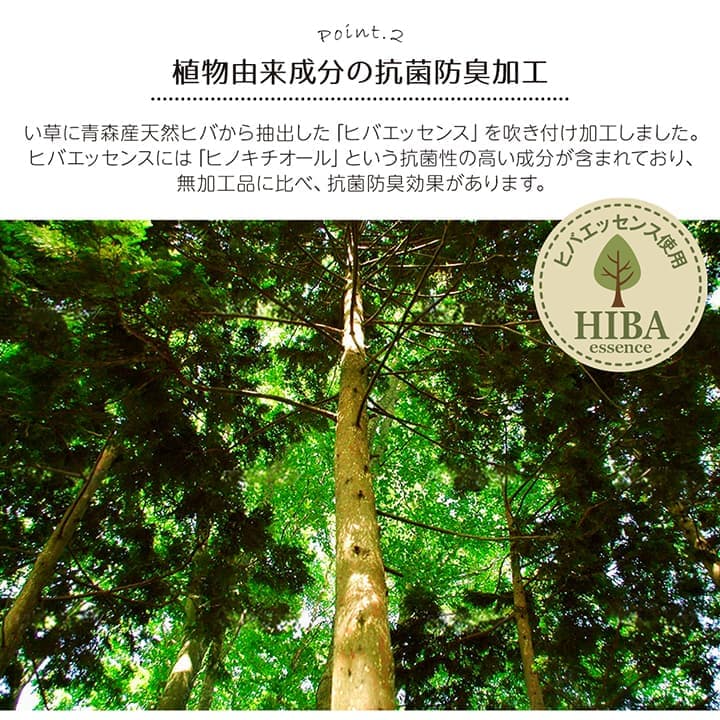 い草ラグ 裏ばり 花ござ カーペット ラグ 3畳 ギャッベ(ギャベ)柄 抗菌防臭 消臭 江戸間3畳 (約174×261cm） 裏:不織布_4