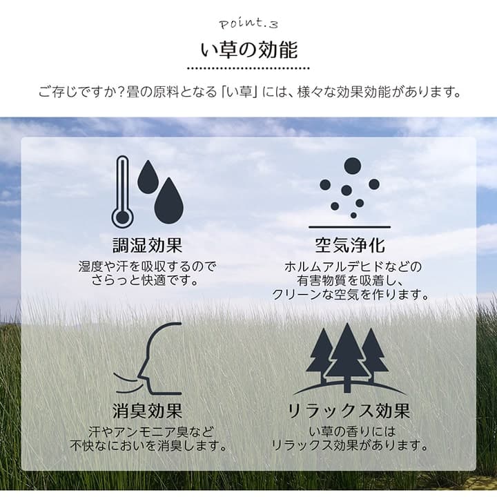 い草ラグ 裏ばり 花ござ カーペット ラグ 3畳 ギャッベ(ギャベ)柄 抗菌防臭 消臭 江戸間3畳 (約174×261cm） 裏:不織布_5