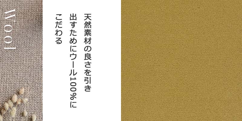 カーペット 激安 通販 高級 アスワン 日本製 サイズ内 カット無料 安心 快適 テープ加工品 ADS-68｜amrie｜02