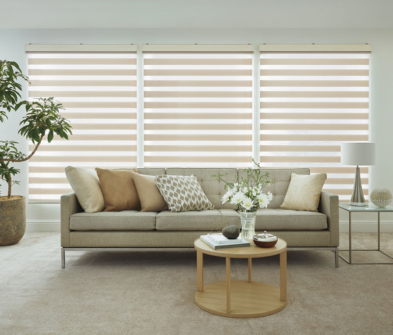 調光ロールスクリーン タチカワブラインド ビブラ デュオレ  防炎 木目調フレーム |  | 01