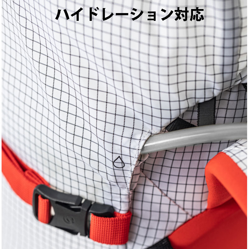 ノースフェイス The North Face Cobra 65L コブラ エクスペ