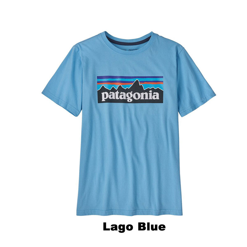 Patagonia パタゴニア Logo t-shirt キッズ Organic オーガニック