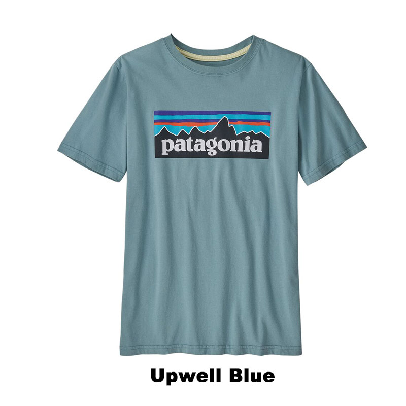 Patagonia パタゴニア Logo t-shirt キッズ Organic オーガニック