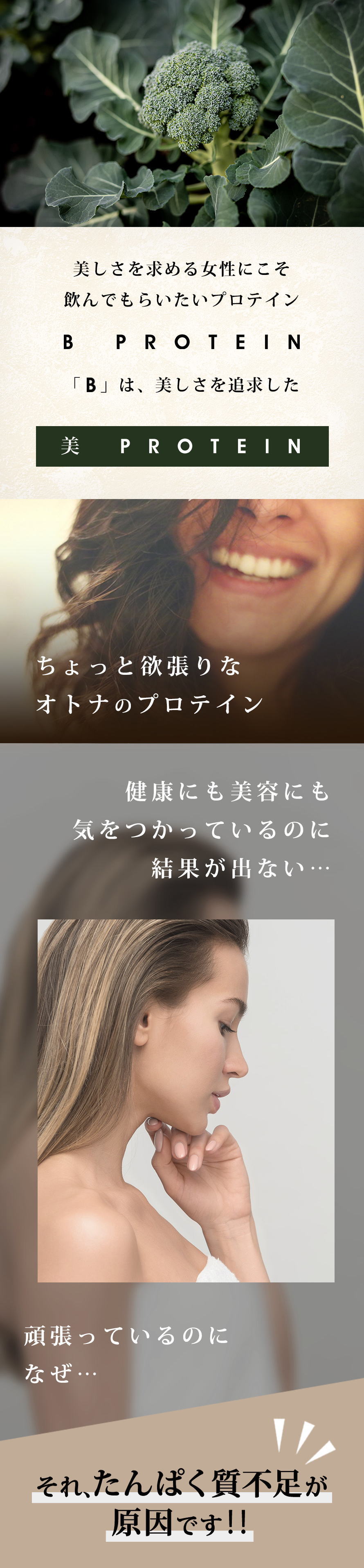 B プロテイン WPI 配合 おすすめ 美容 ソイプロテイン 美味しい マルチ 女性用 ダイエット ＆ 750g プロテイン 
