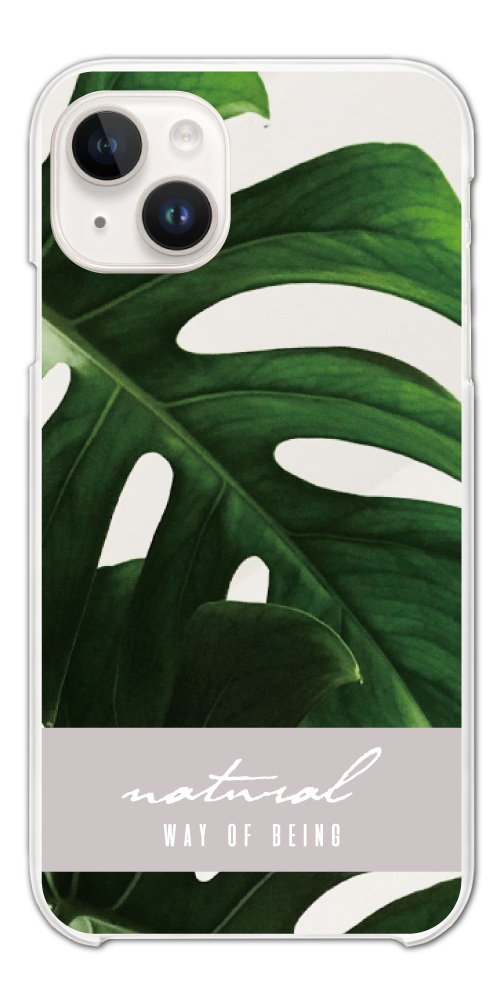 iPhone iPhone17 ケース スマホケース ハード 植物 サボテン 花