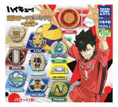ハイキュー!! ピンバッジセット 10個・13個 ハイキュー！ 高校モチーフピンバッジ3 全国編 全10種セット