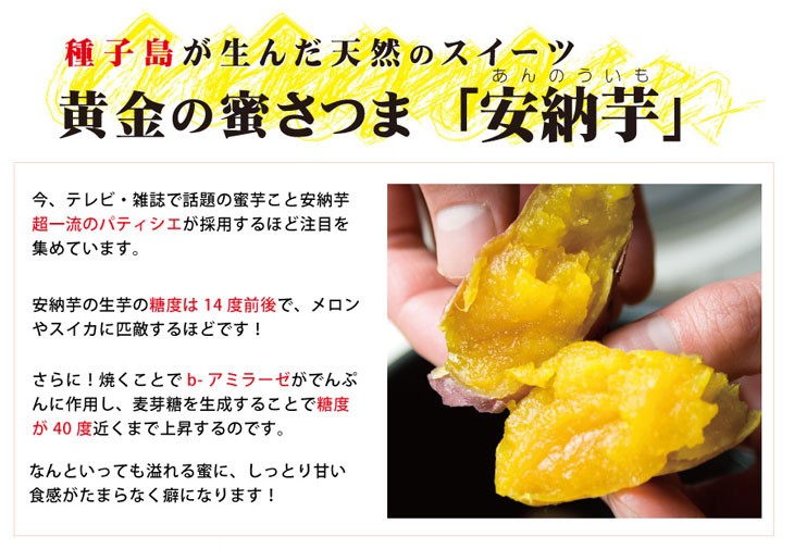 種子島 安納芋 さつまいも 10kg 【10月〜11月頃から発送】送料無料