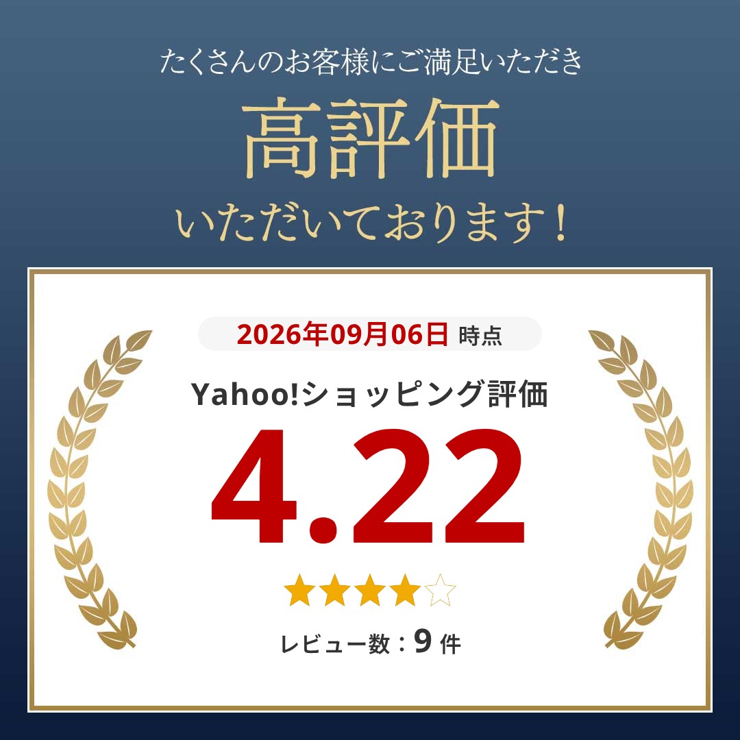 シガーソケット 2連 USB ポート2口 12V 24V 車用 分配器 スマホ充電