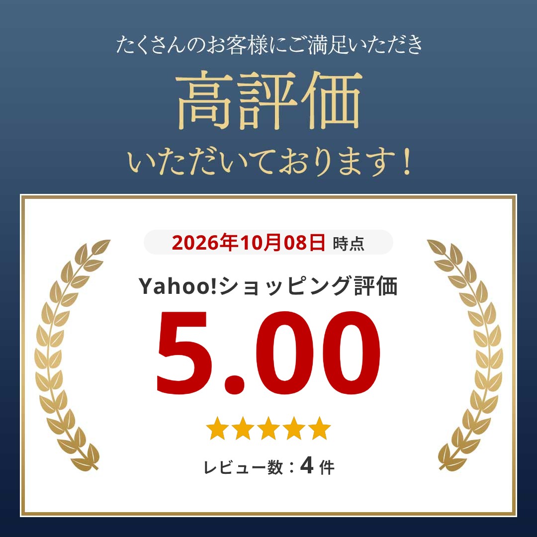 ���˃X�g���b�v ���� �L�[�z���_�[ ���t���N�^�[ ���ˍ� ���˔� �J���r�i�t�� �o���h ��� ���C�g ���� �i�C�g�}�[�J�[ �ʋ� �ʊw ���]�� �֘A�摜1