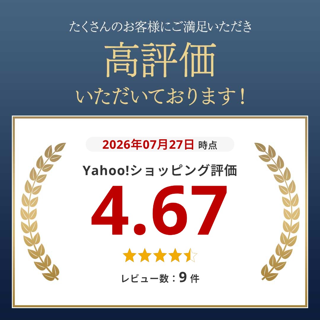 プラズマライター 電子ライター USB充電式 ライター プラズマ アーク 防風 着火 オイル ガス不要 エコ 安全 自動消火 亜鉛合金 高級感 薄型 関連画像1
