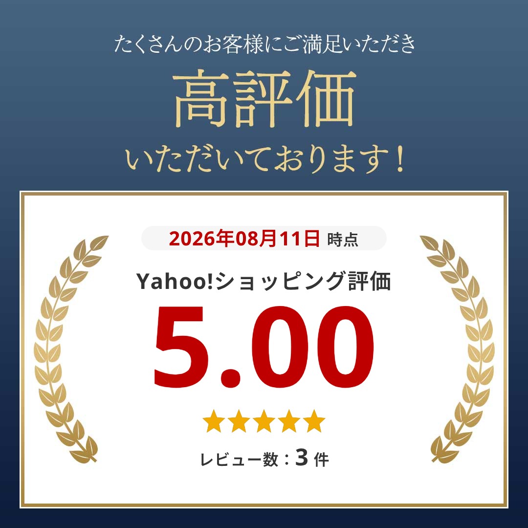 2個セット プラズマライター 電子ライター USB充電式 ライター プラズマ アーク 防風 着火 オイル ガス不要 エコ 安全 自動消火 亜鉛合金 高 関連画像1
