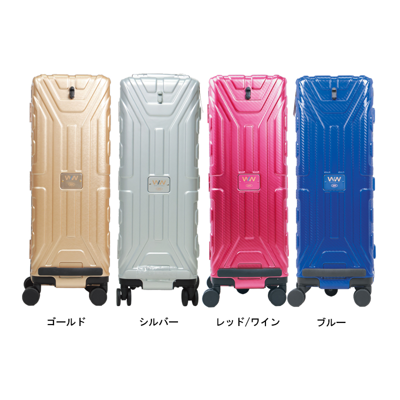 ABS/3ボールハードキャリー(ワイド) : ボウリングショップ anan - 通販