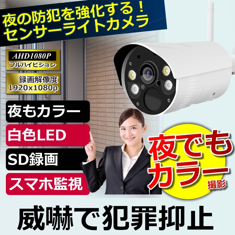 【あ】新品 スワン 防犯カメラ ライト付 防雨型 4K SDカード あ様専用】新品 スワン 防犯カメラ ライト付 防雨型 4K SDカード