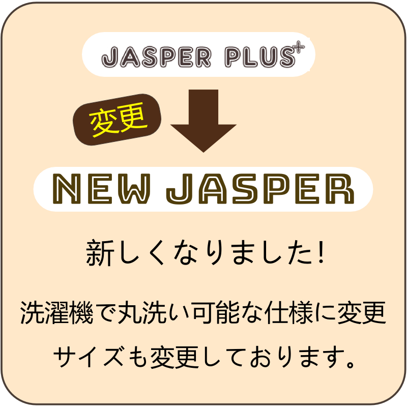 プレーベル ラグマット ラグ ジャスパー 約2畳 190×190cm 抗菌 防ダニ