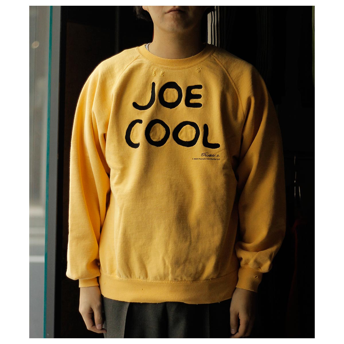 ネクサスセブン NEXUSVII. JOE COOL クルーネックスウェット (ROA-NNK