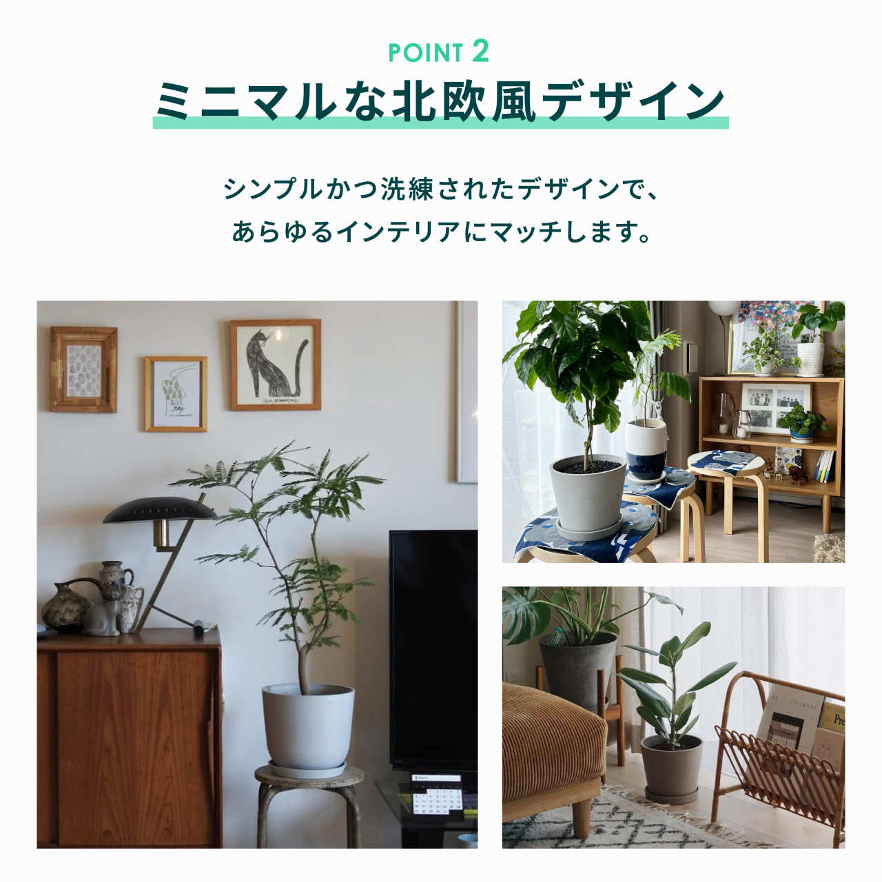 Ecopots Oslo Lサイズ 商品画像3
