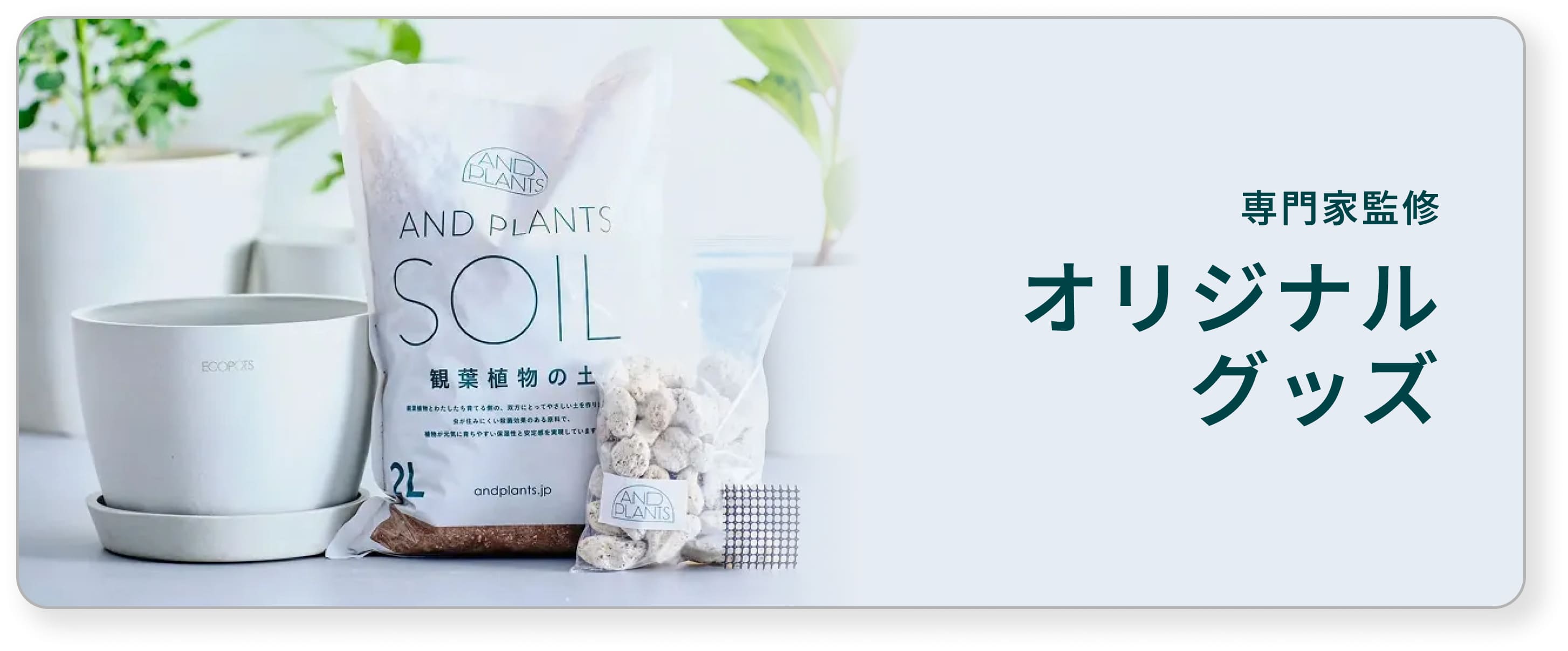 アンドプランツ ヤフー店 - 植木鉢｜Yahoo!ショッピング