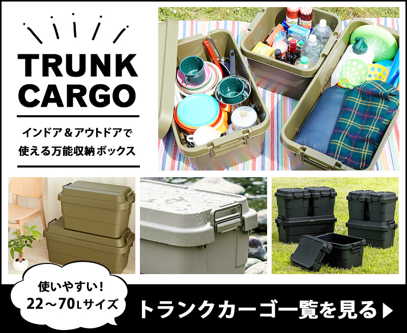 トランクカーゴ 30L 収納ケース 収納ボックス コンテナボックス